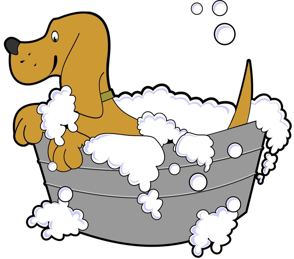 make your dog like the dog bathtub