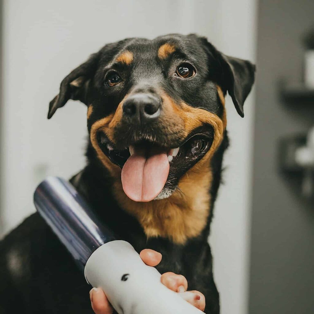 Best Dog Grooming Vacuum