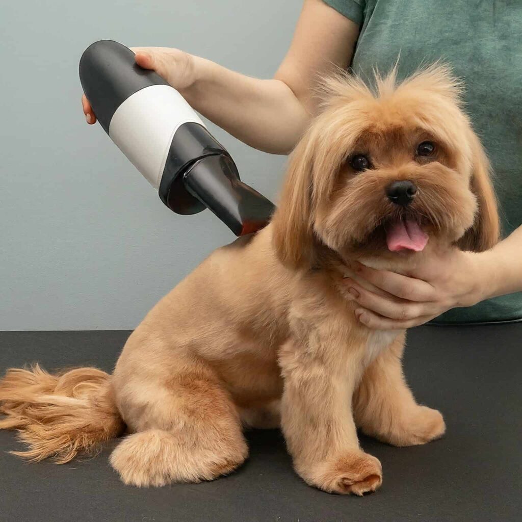 Dog Vacuum For Grooming