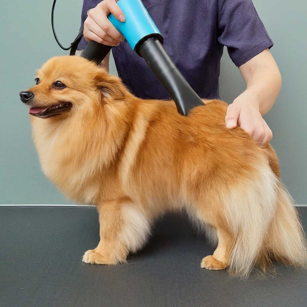 Pet Grooming Vacuum Kit