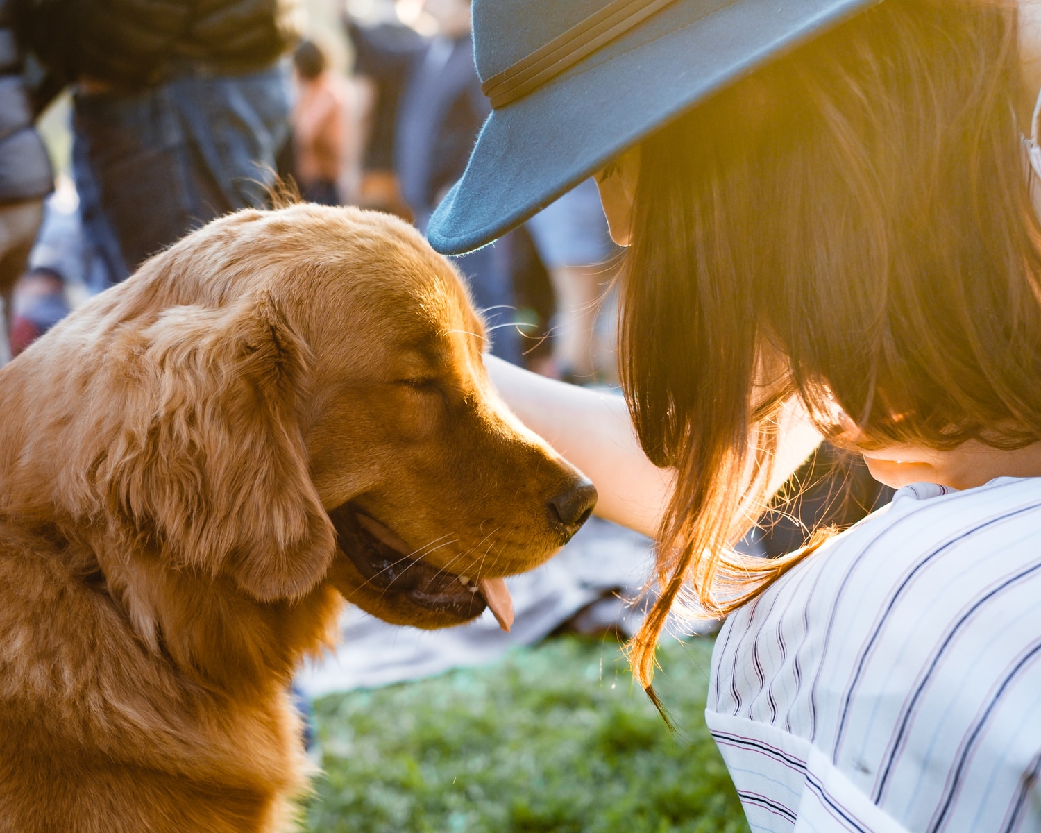 how long does it take to groom a dog